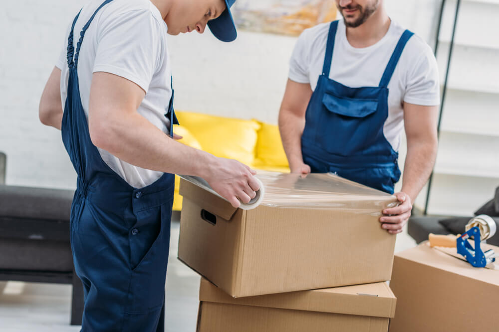 Professional Moving Services