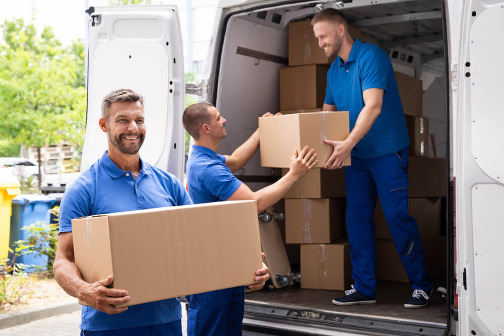 Professional Moving Services